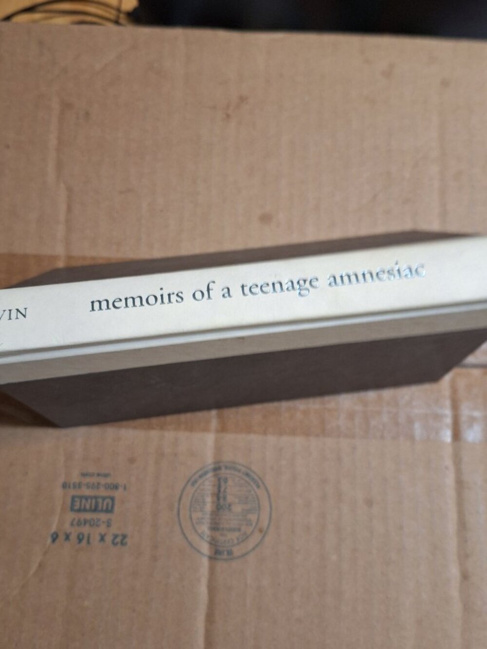 Memoirs of a teenage amnesia